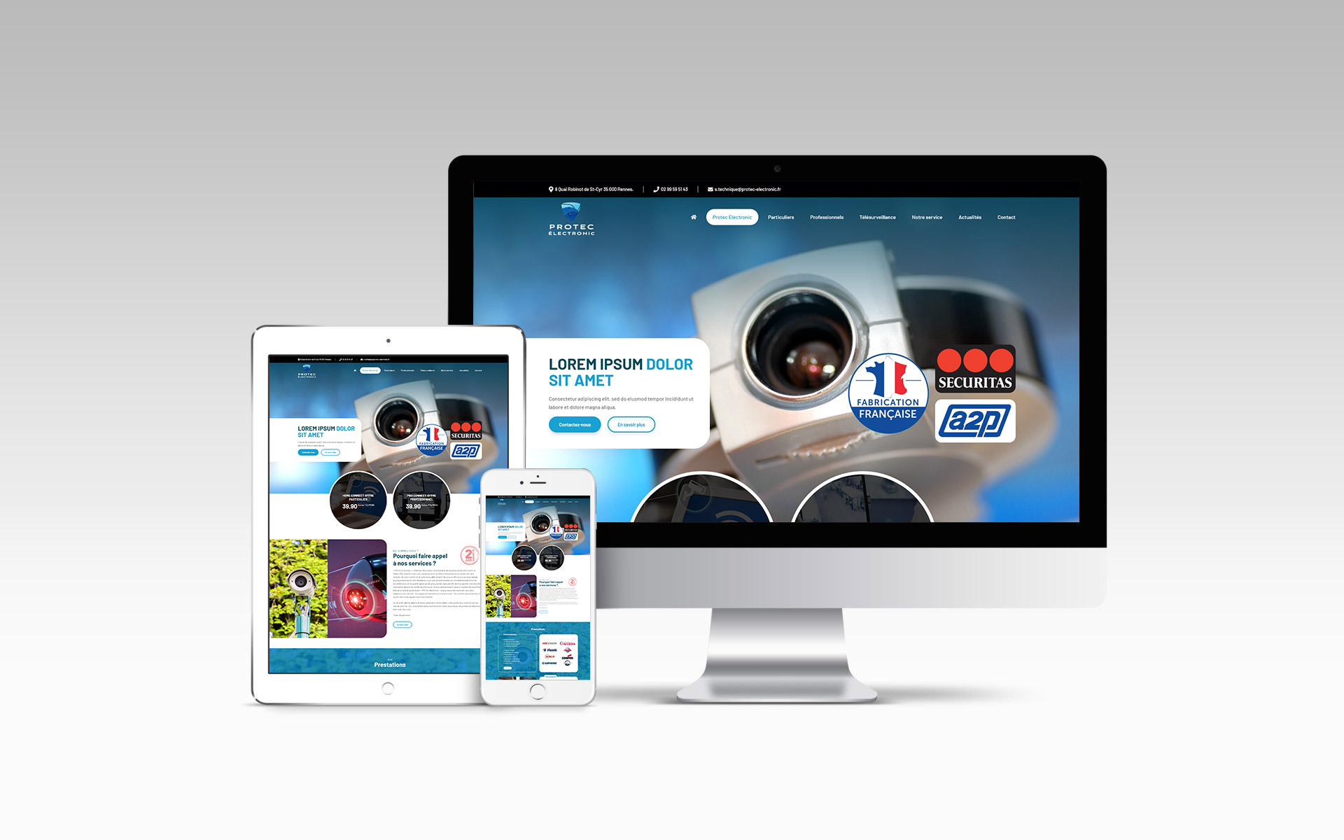 Protec Electronic Alarme Rennes Website Mockup